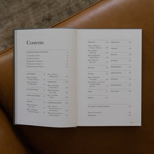 A Year in the Bible | Men's Volume 3 Bible Study